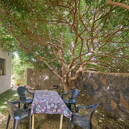 Molino De El Roque Cotillo