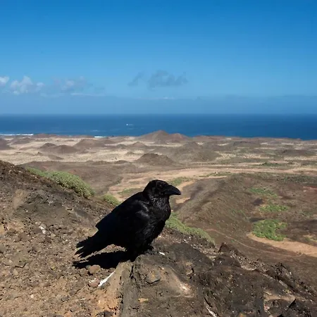 Molino De El Roque * El Cotillo (Fuerteventura)